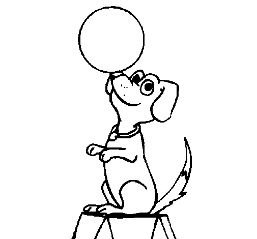 Dibujo de Perro de circo para Colorear