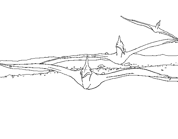 Dibujo de Pterodactilos para Colorear