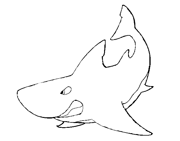 Dibujo de Tiburón enfadado para Colorear