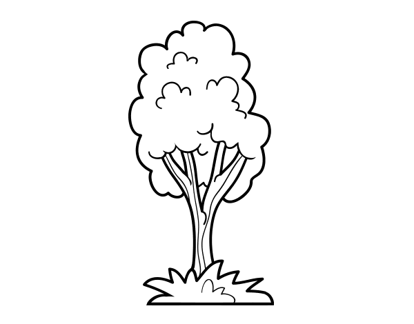 Dibujo de Un árbol de parque para Colorear - Dibujos.net