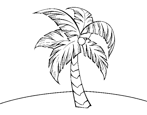 Dibujo de Una palmera para Colorear